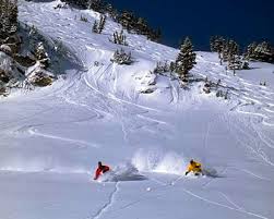 Alta Ski Area. Ski Only. Ski Resort. Snowboard Ban. No Snowboarding